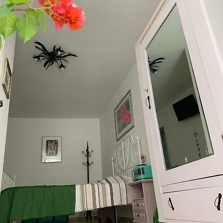 Fiori Catene Tra Le Torri 孔韦尔萨诺