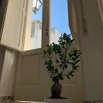 Fiori Catene Tra Le Torri Conversano
