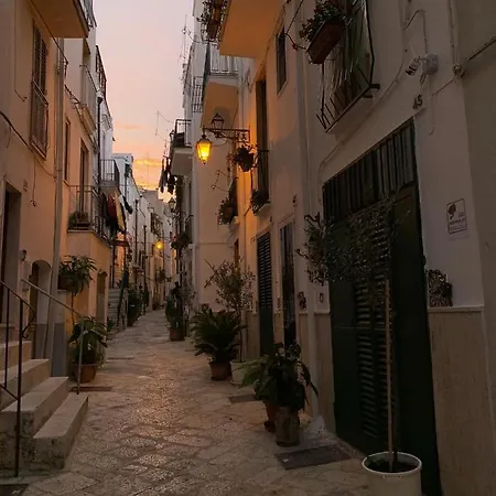 Fiori Catene Tra Le Torri Lägenhet Conversano
