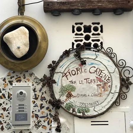 Daire Fiori Catene Tra Le Torri *