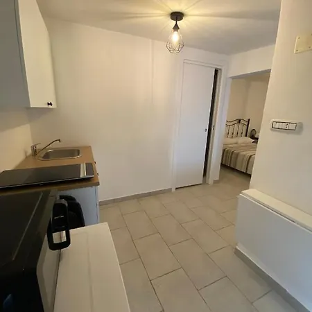 Fiori Catene Tra Le Torri Daire *