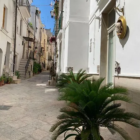 Fiori Catene Tra Le Torri * Conversano