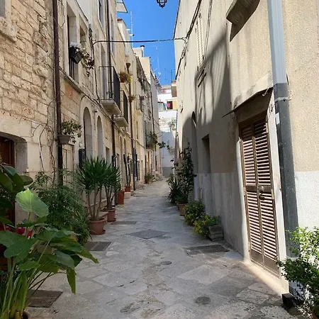 Fiori Catene Tra Le Torri Conversano