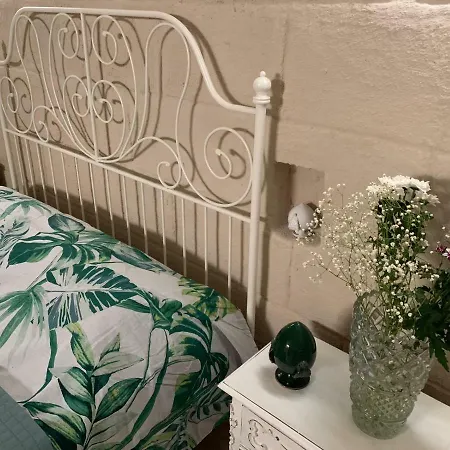 Daire Fiori Catene Tra Le Torri