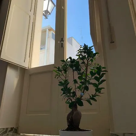 Fiori Catene Tra Le Torri Conversano
