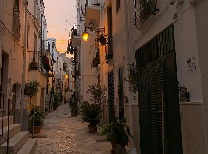 Fiori Catene Tra Le Torri Apartament Conversano