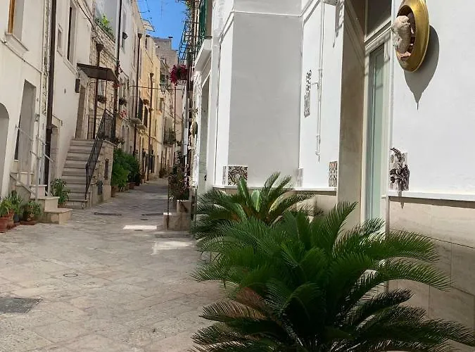 Fiori Catene Tra Le Torri * Conversano