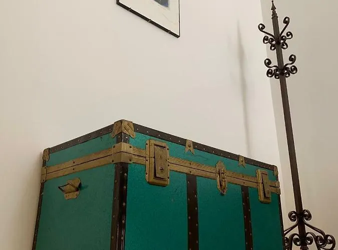 Fiori Catene Tra Le Torri *