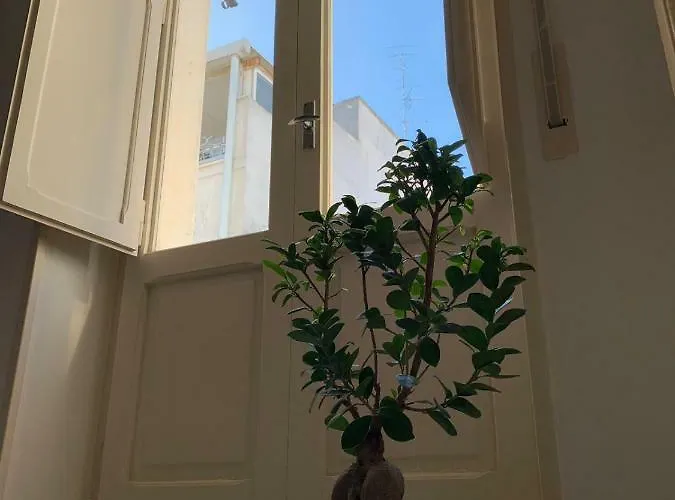 Fiori Catene Tra Le Torri Conversano