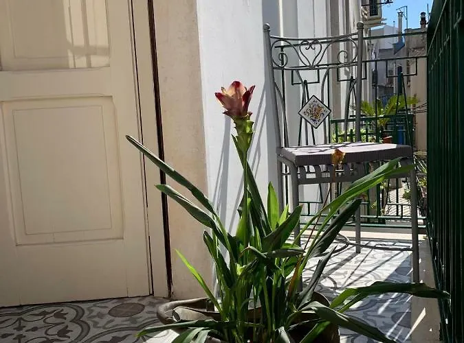 Fiori Catene Tra Le Torri Apartament